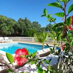  Bed & Breakfast Panoramic Paradise Portugal